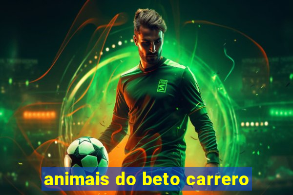 animais do beto carrero